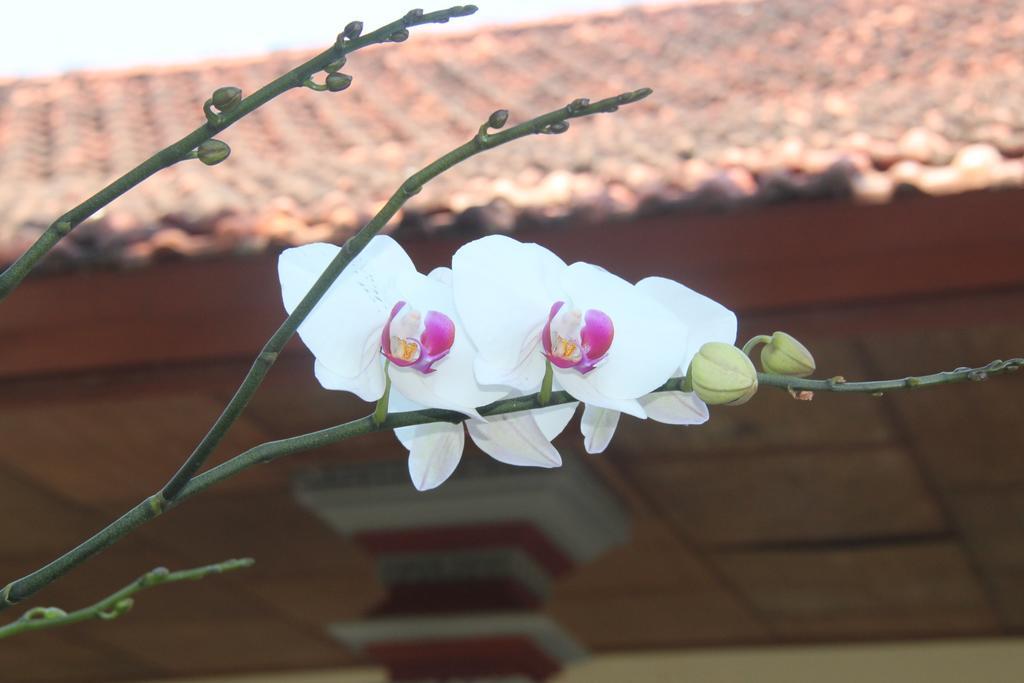 Pondok Hasan Nusa Dua  Luaran gambar