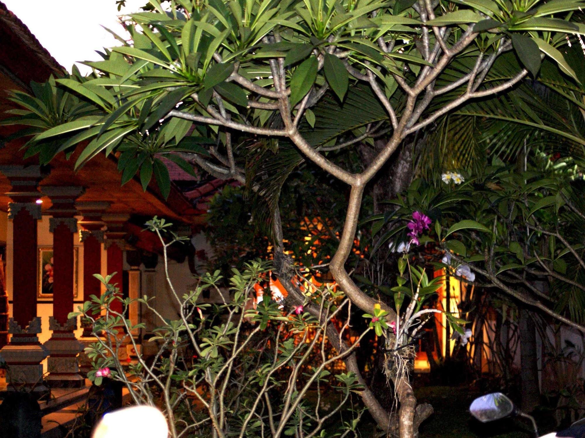 Pondok Hasan Nusa Dua  Luaran gambar